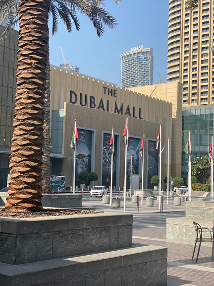 7 Things You Must Experience in Dubai