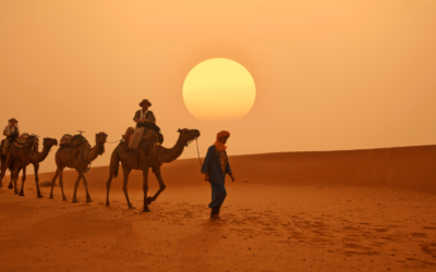 Exploring The Colors of Morocco